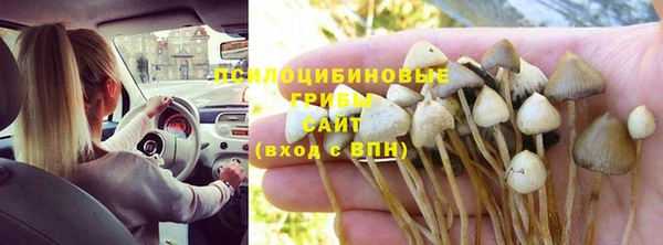дистиллят марихуана Пересвет