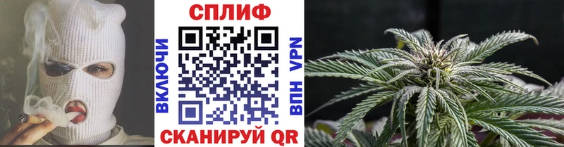 Каннабис OG Kush  Козловка 